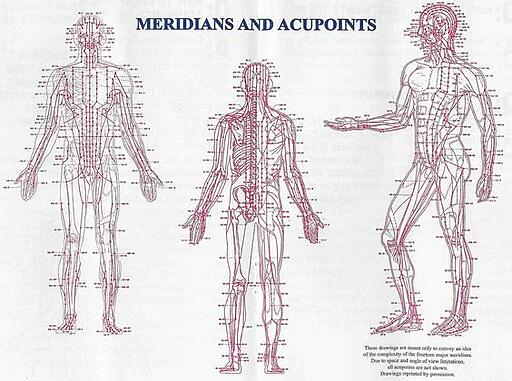 Meridians on the Human Body
